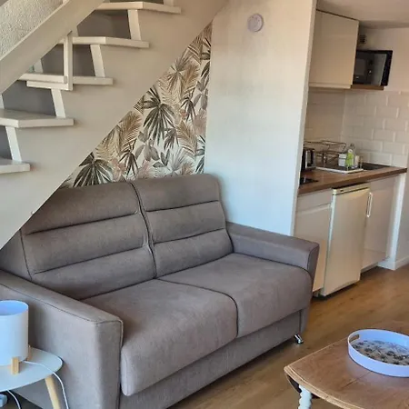 Apartment Duplex Renove, Piscine, Clim, Centre Port *
