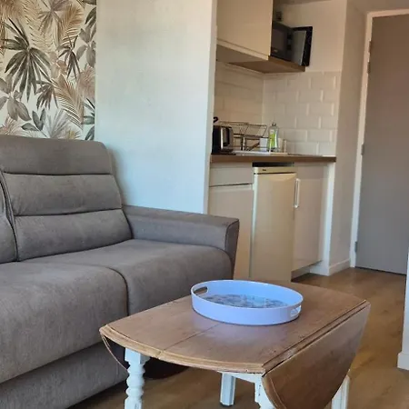 Duplex Renove, Piscine, Clim, Centre Port * Agde